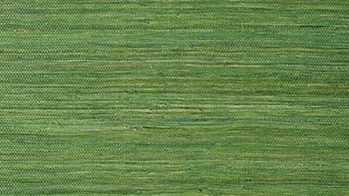 RAFFIA PALM T24074